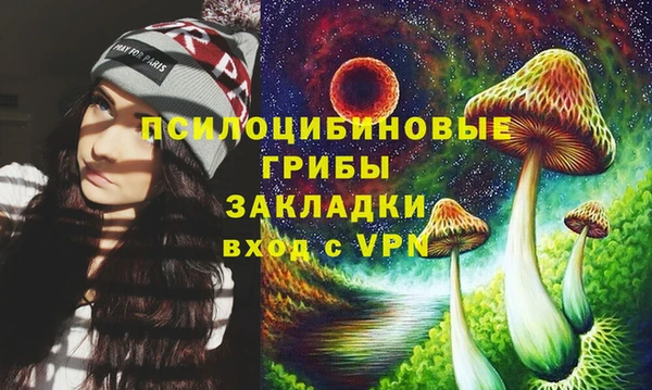 сатива Абаза