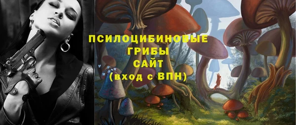 сатива Абаза