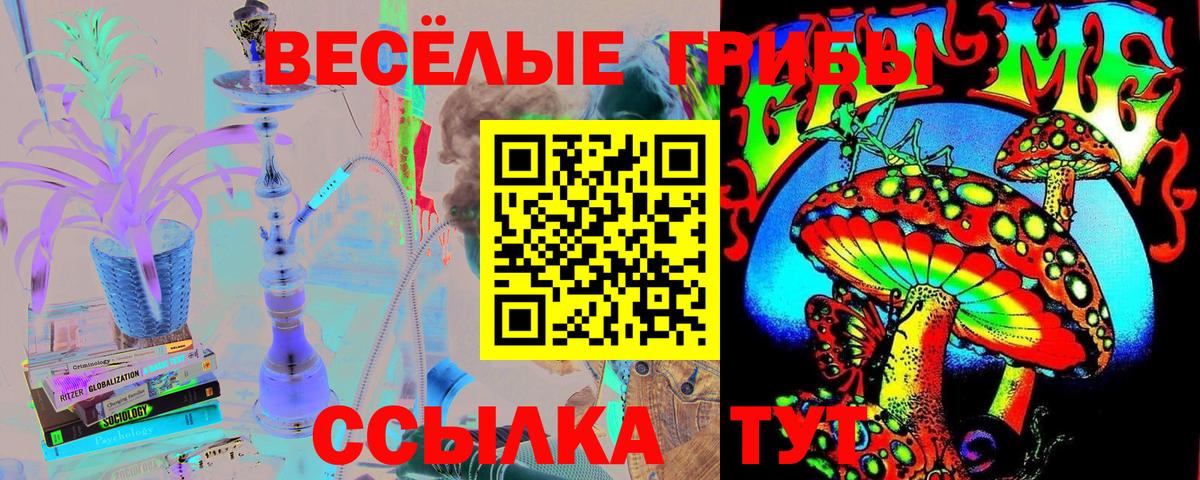 Алейск  Псилоцибиновые грибы MAGIC MUSHROOMS  Вход с VPN  Псилоцибиновые грибы мухоморы 