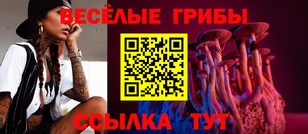 Галлюциногенные грибы MAGIC MUSHROOMS Алейск